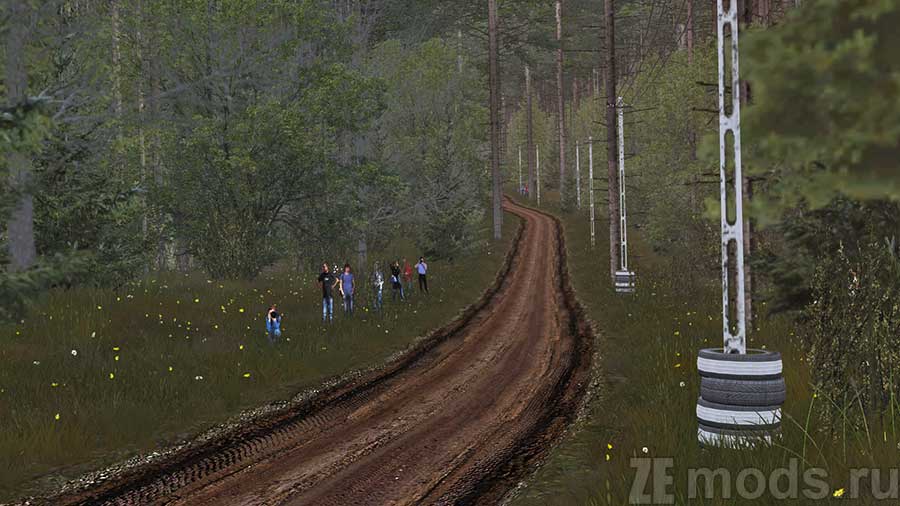 Карта "Forest Rally: Stage 2" для Assetto Corsa