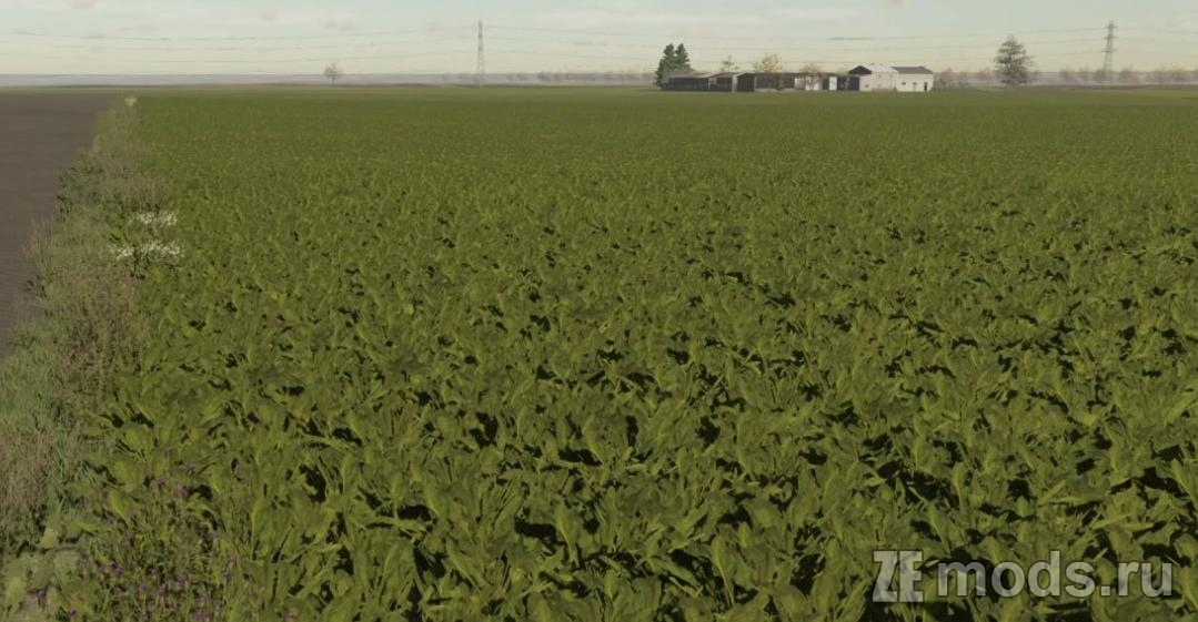 Новые текстуры Сахарной Свеклы (1.0) для Farming Simulator 22