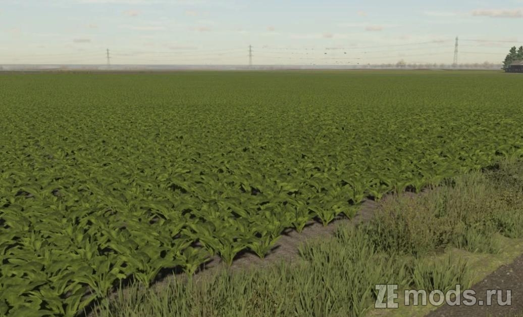 Мод Новые текстуры Сахарной Свеклы (1.0) для Farming Simulator 22